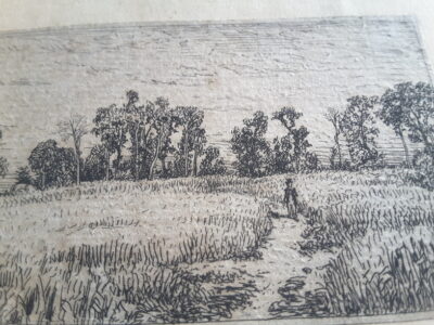 Gravure Eau-forte Originale 1844 – Charles Émile Jacque (1844) – “Champ de blé” – “Wheat Field” (Guiffrey 44)