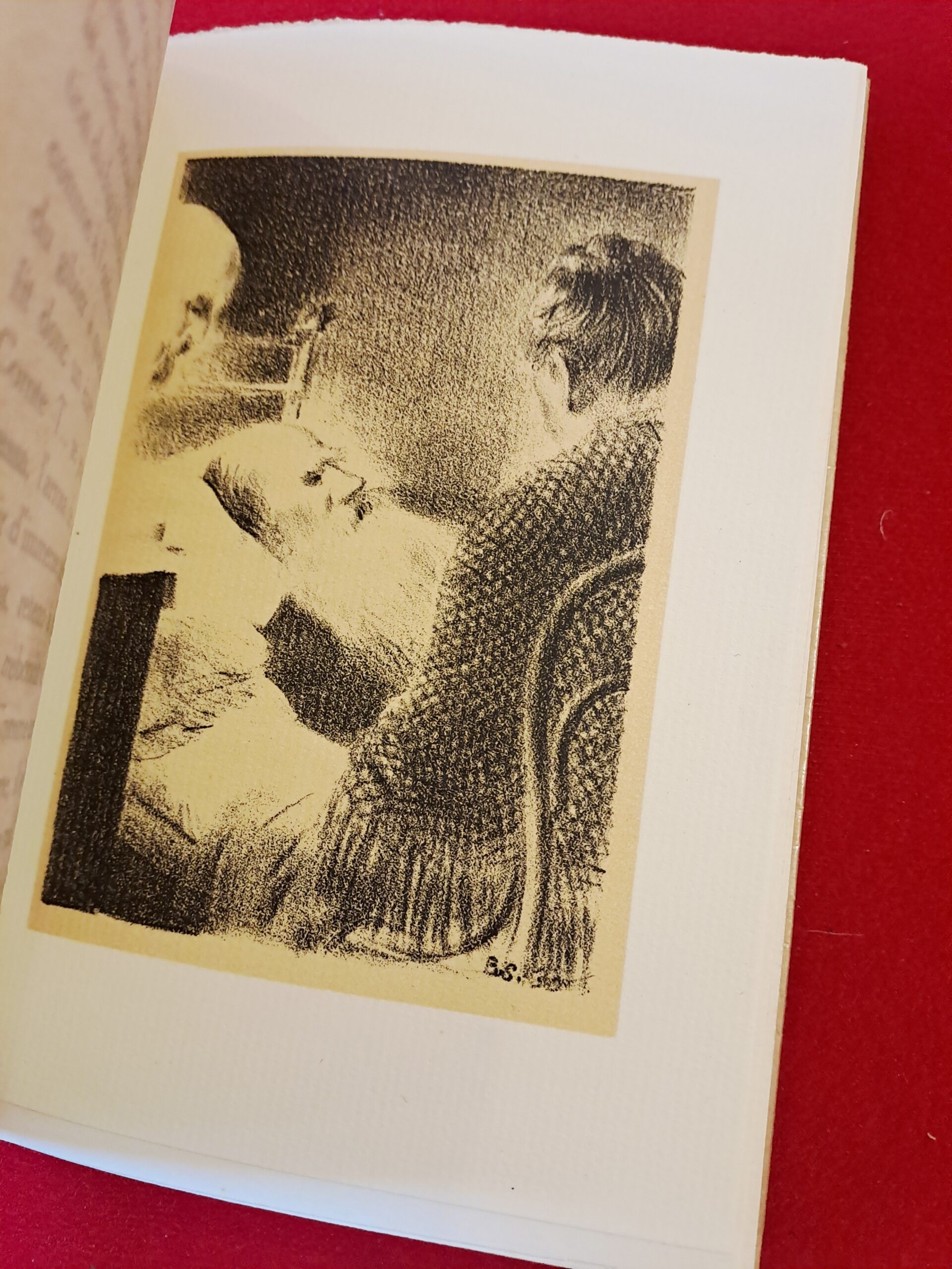 L'anthropophage, Charles Maurras, Editions Lapina, 1930, portrait de l'auteur par Édouard Chimot, illustrations de Wassily SCHOUKHAEFF, édition originale, un des exemplaires numérotés sur vergé de Rives BFK, première édition – Image 13