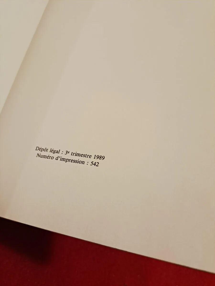 Introuvable | La Biguine de l'oncle Ben's - Édition Originale Dédicacée (1989) – Image 16