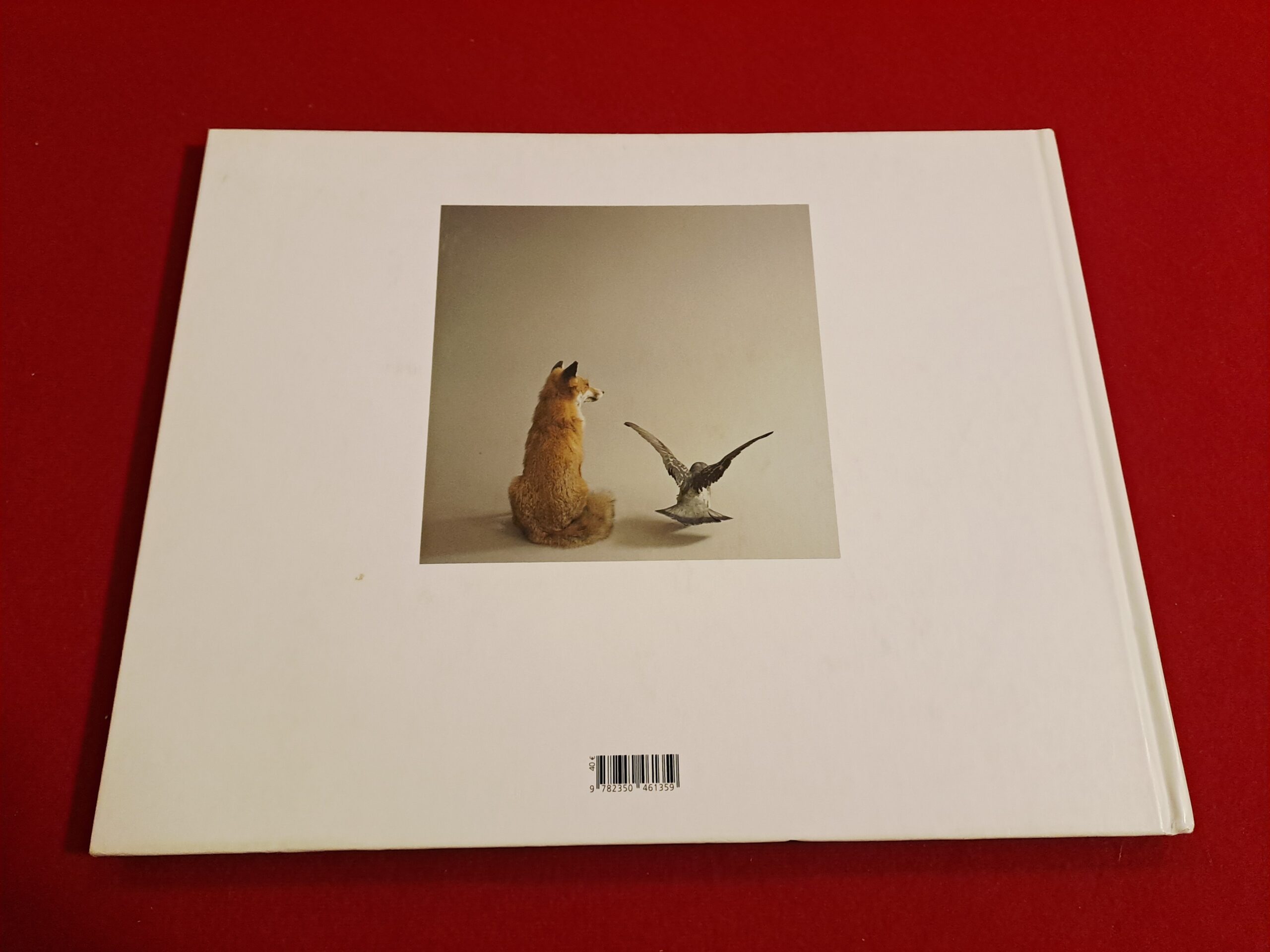 Fables, Karen Knorr, première édition, signée et dédicacée – Image 2