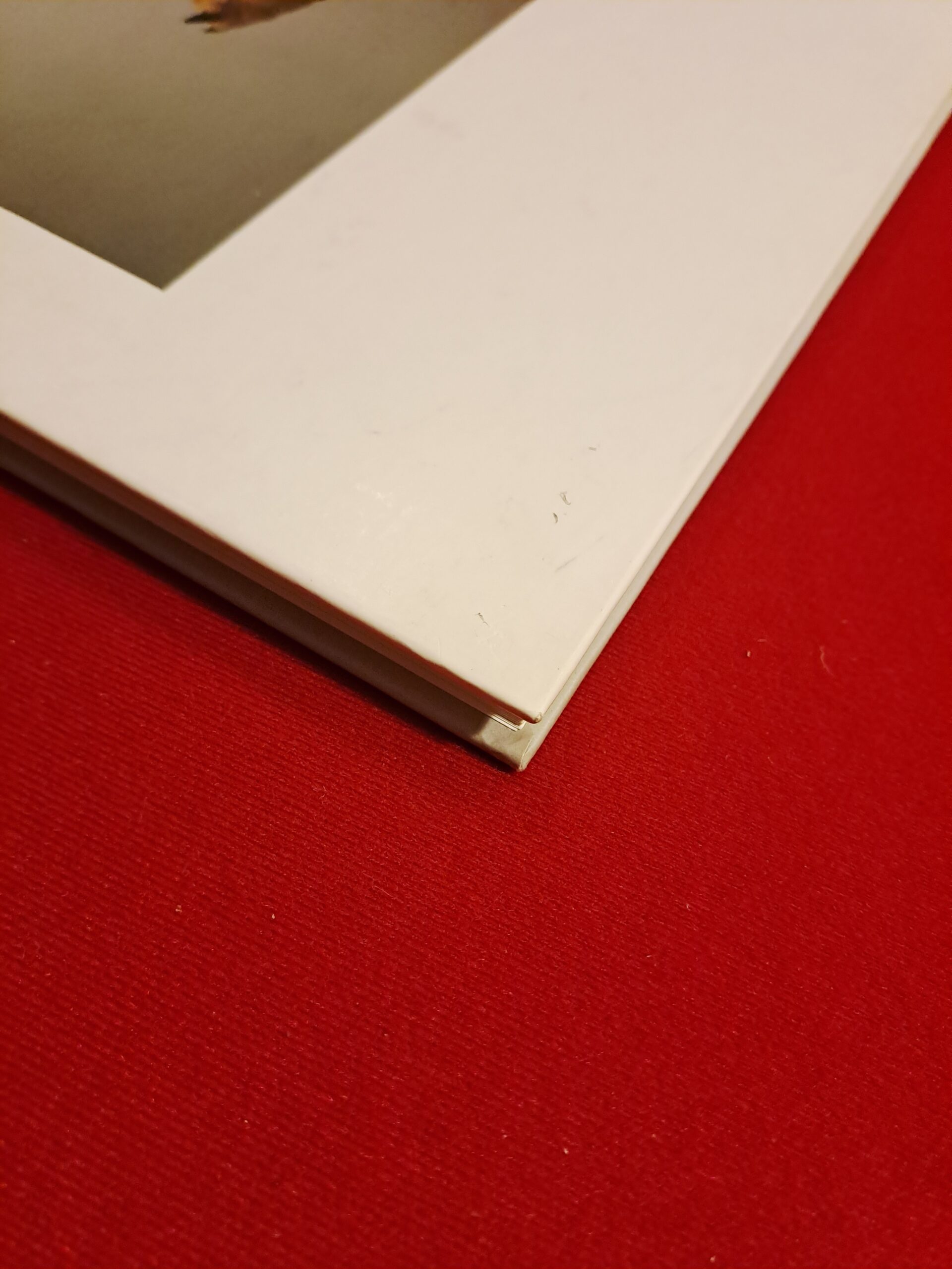 Fables, Karen Knorr, première édition, signée et dédicacée – Image 10