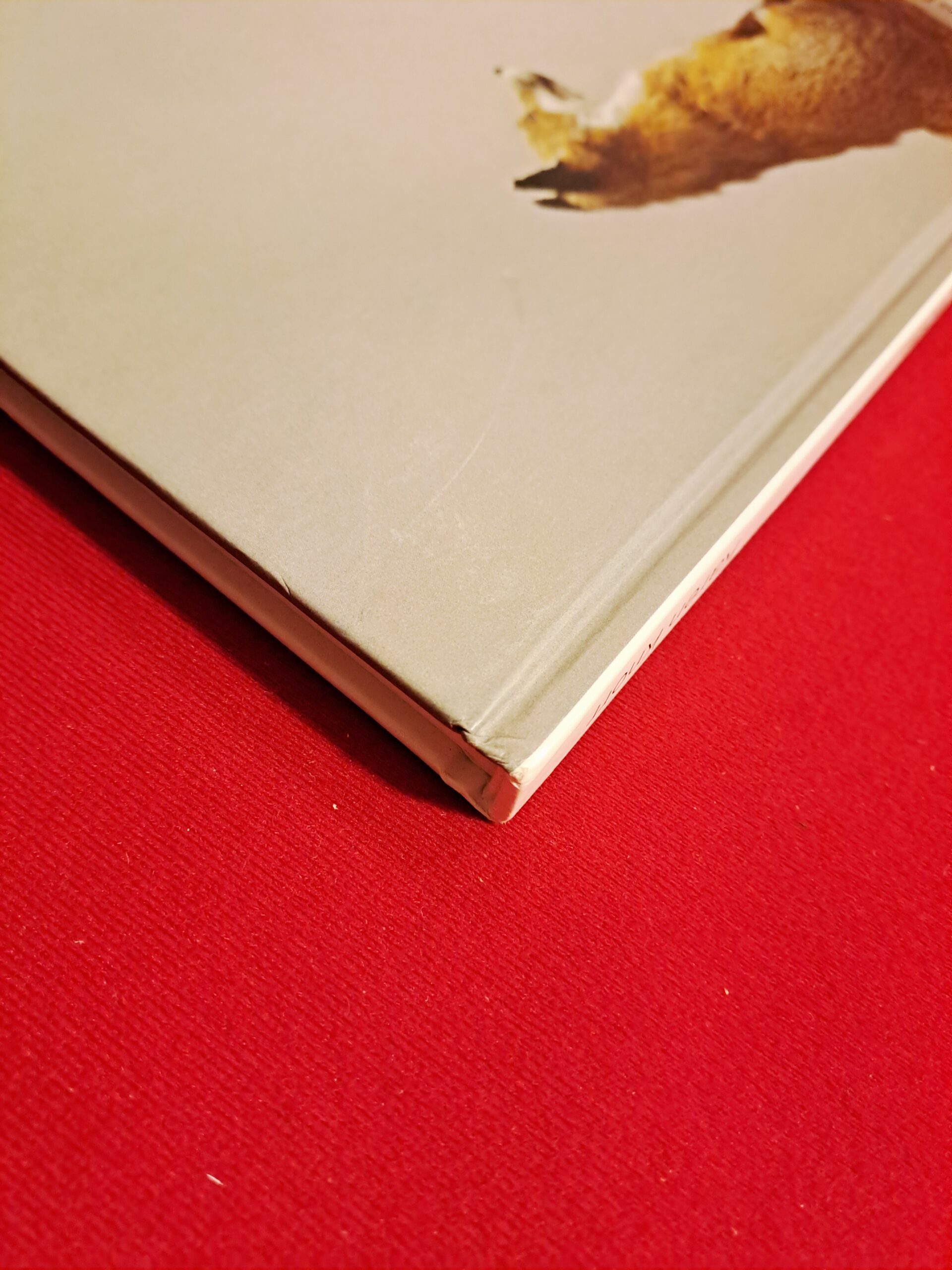 Fables, Karen Knorr, première édition, signée et dédicacée – Image 12