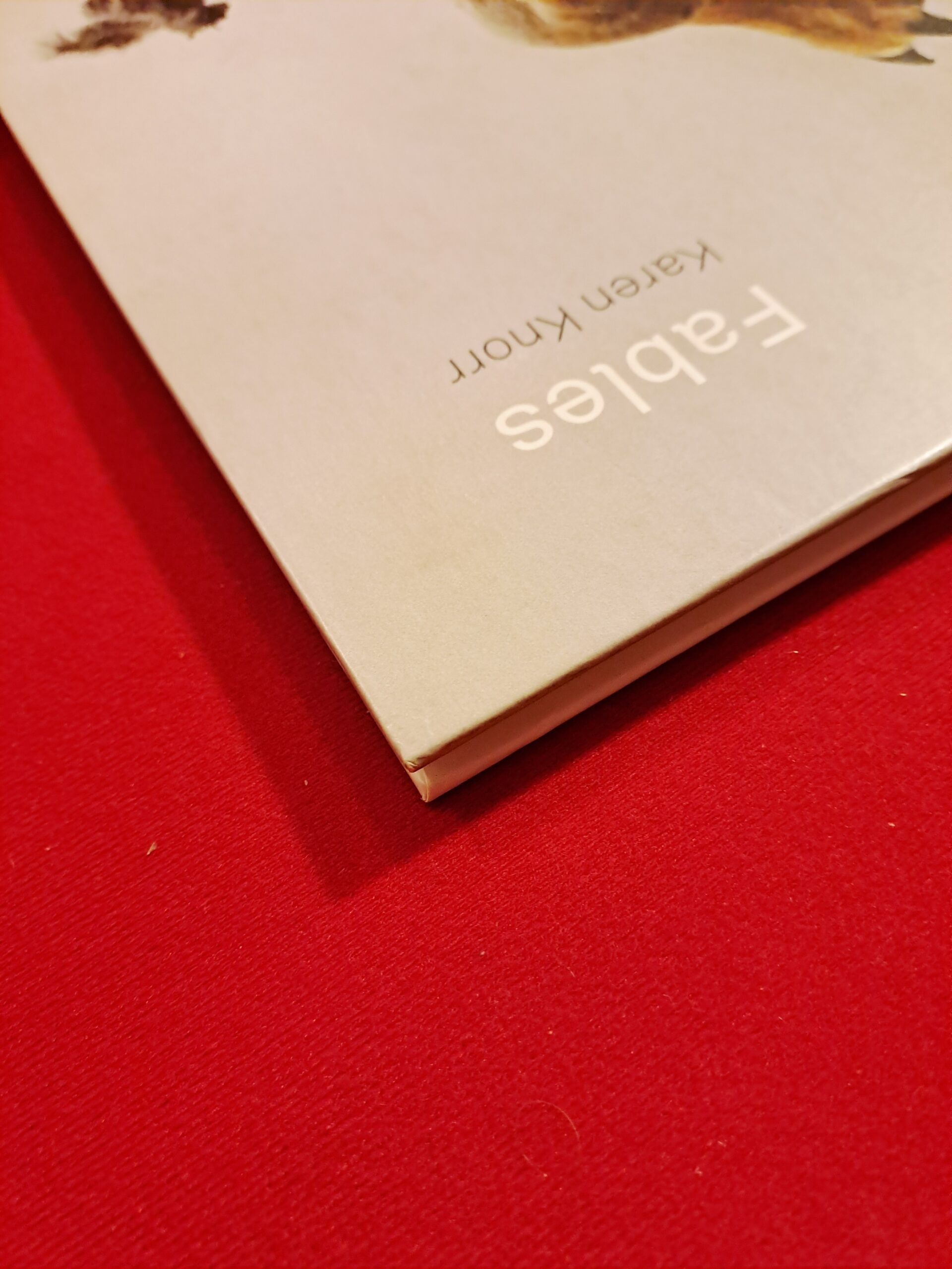 Fables, Karen Knorr, première édition, signée et dédicacée – Image 13