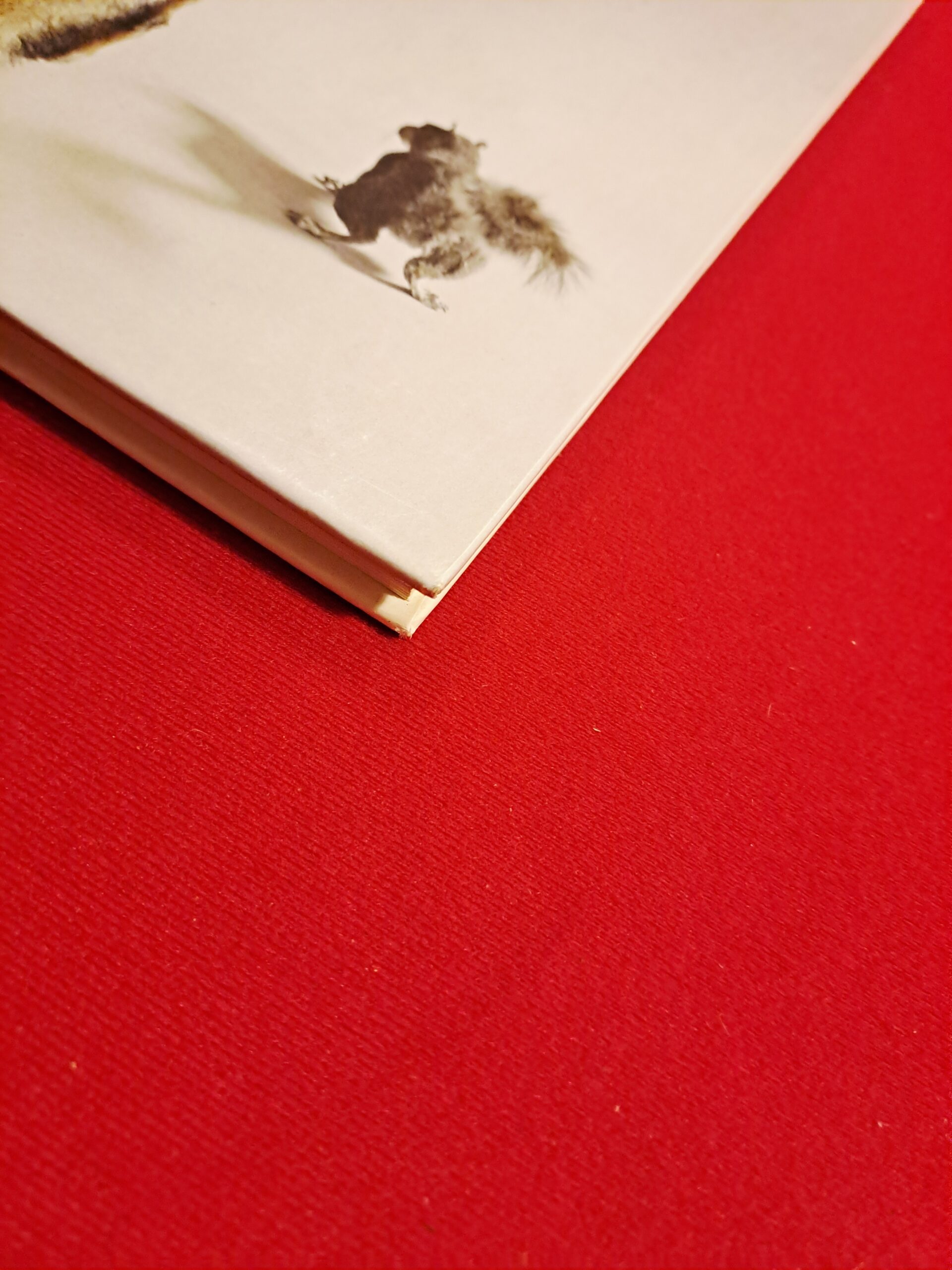 Fables, Karen Knorr, première édition, signée et dédicacée – Image 14
