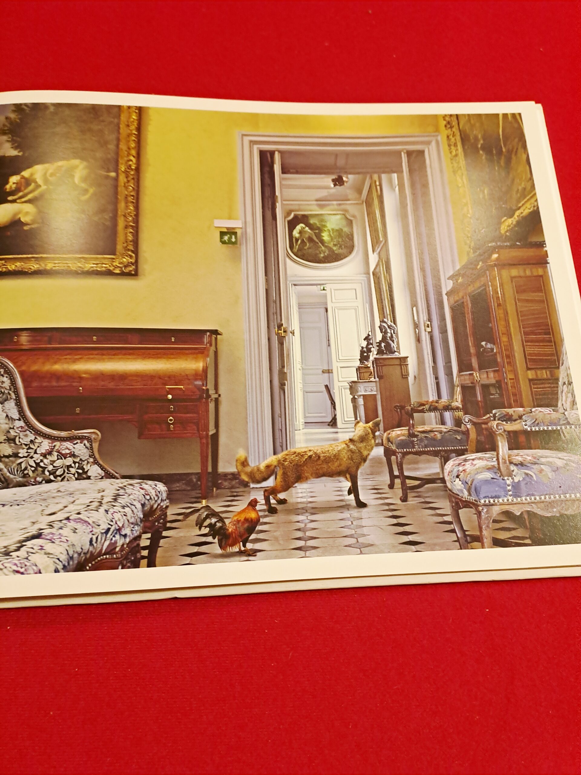 Fables, Karen Knorr, première édition, signée et dédicacée – Image 16