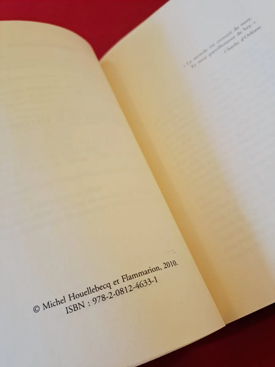 [PREMIER TIRAGE] La carte et le territoire - Michel Houellebecq - Première Édition 2010 - Grand Format Flammarion - TBE – Image 5