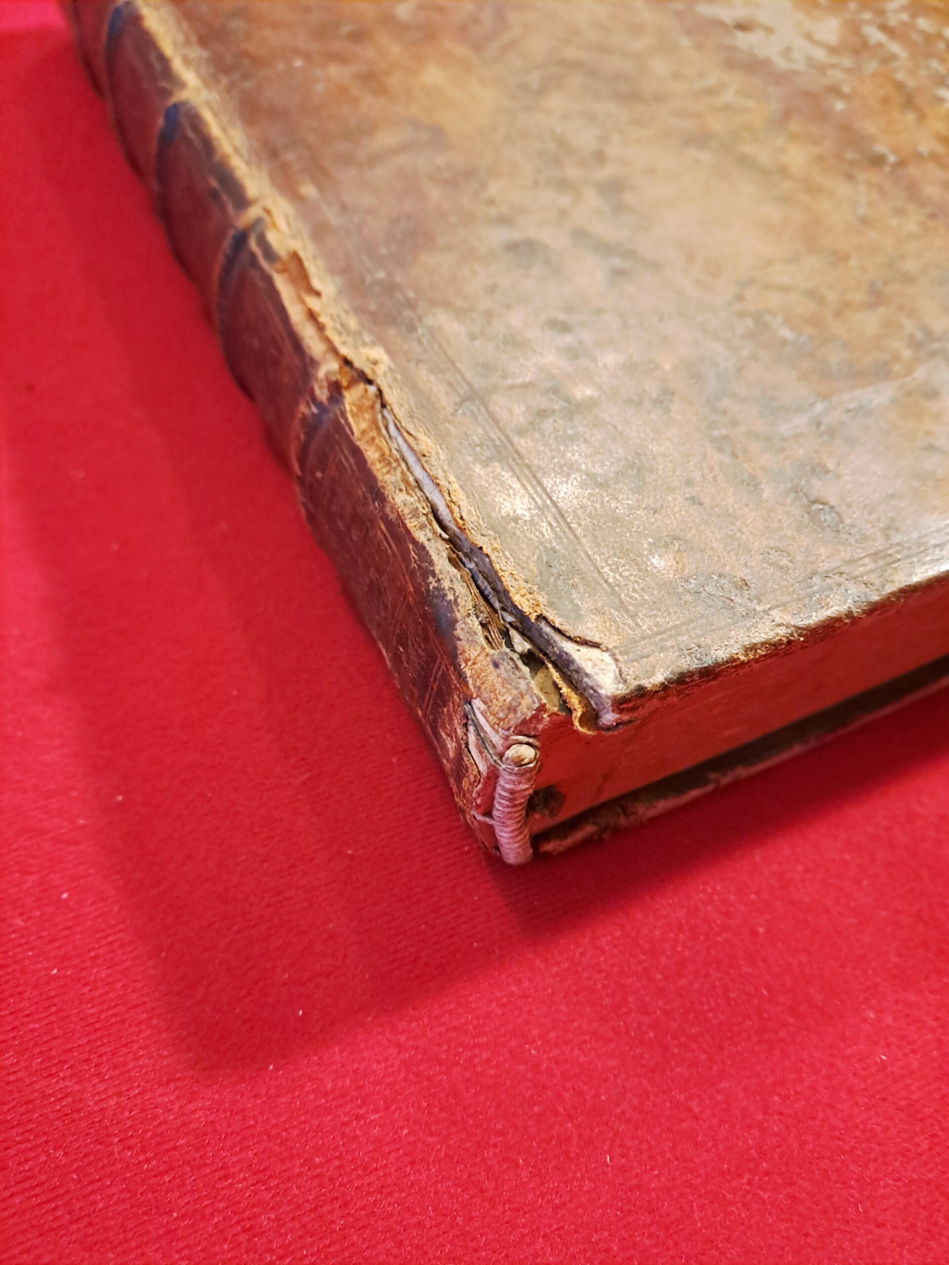 Livre Ancien Médecine 1774 - LIEUTAUD Synopsis Universae Praxeos Medicae T.1 – Image 5
