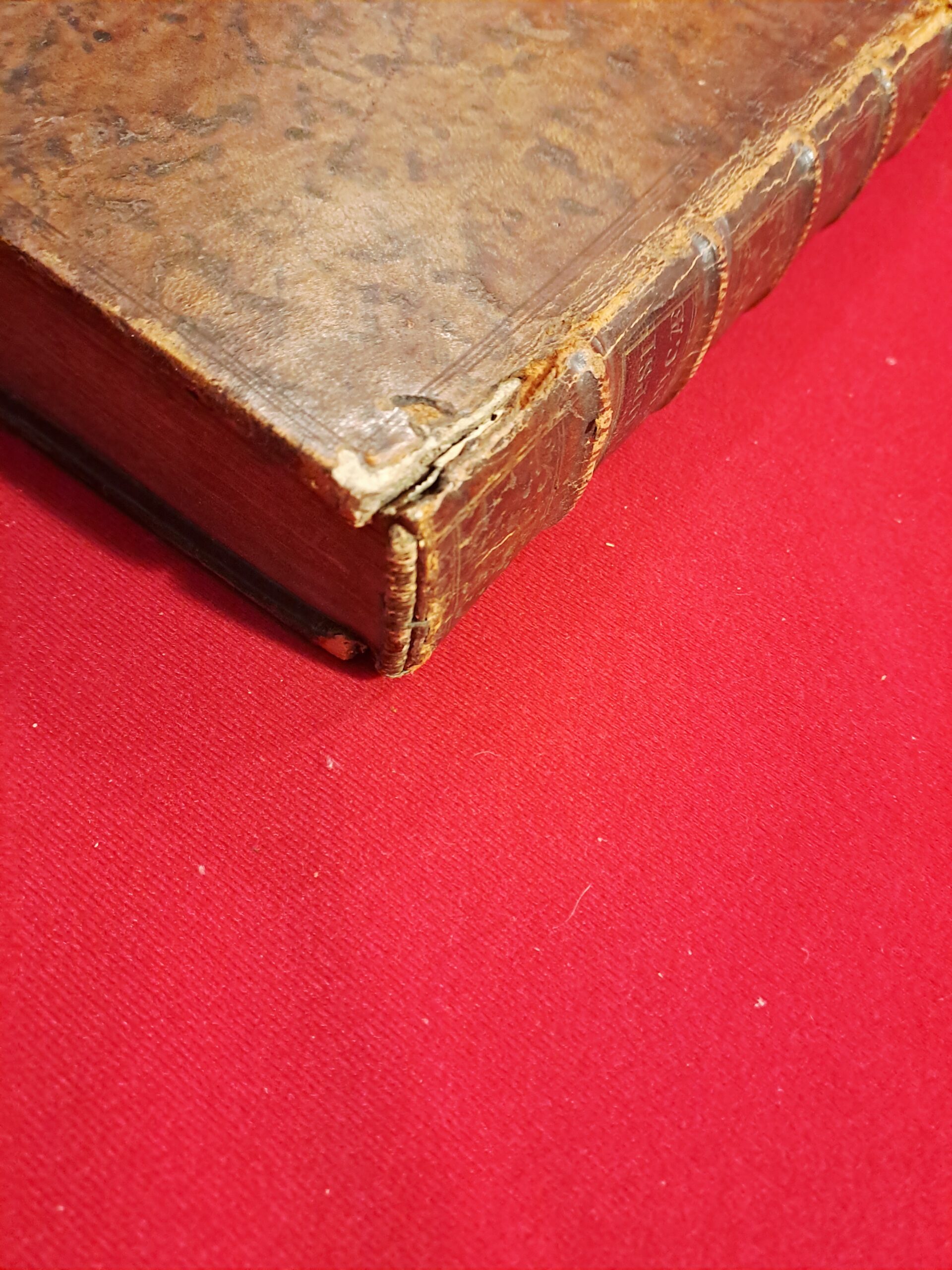 Livre Ancien Médecine 1774 - LIEUTAUD Synopsis Universae Praxeos Medicae T.1 – Image 8