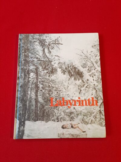 RARE & SIGNED – 屠宏涛 – Tu Hongtao: Labyrinth 08 Catalogue | Chinese Contemporary Gallery NY/Beijing (2008) – Fine Condition