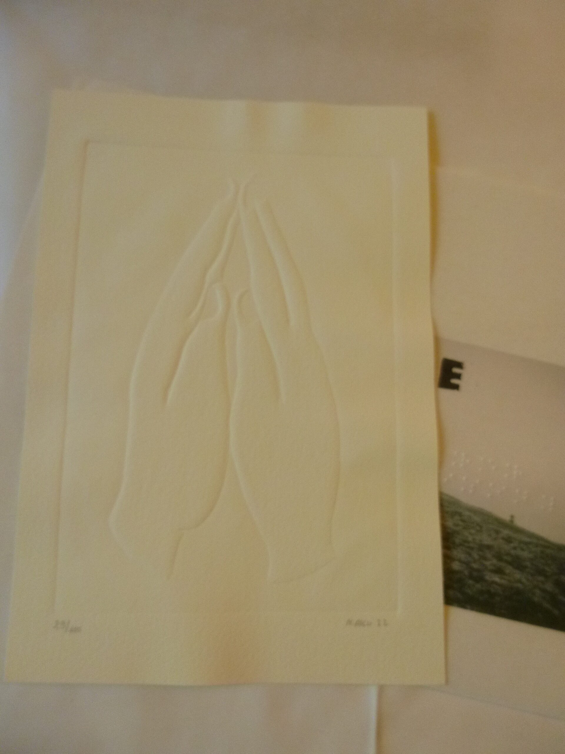 Lot Rare Revue FILTR’ – Numéros 0, 1 et 2 (Complets / Épuisés) – Image 17